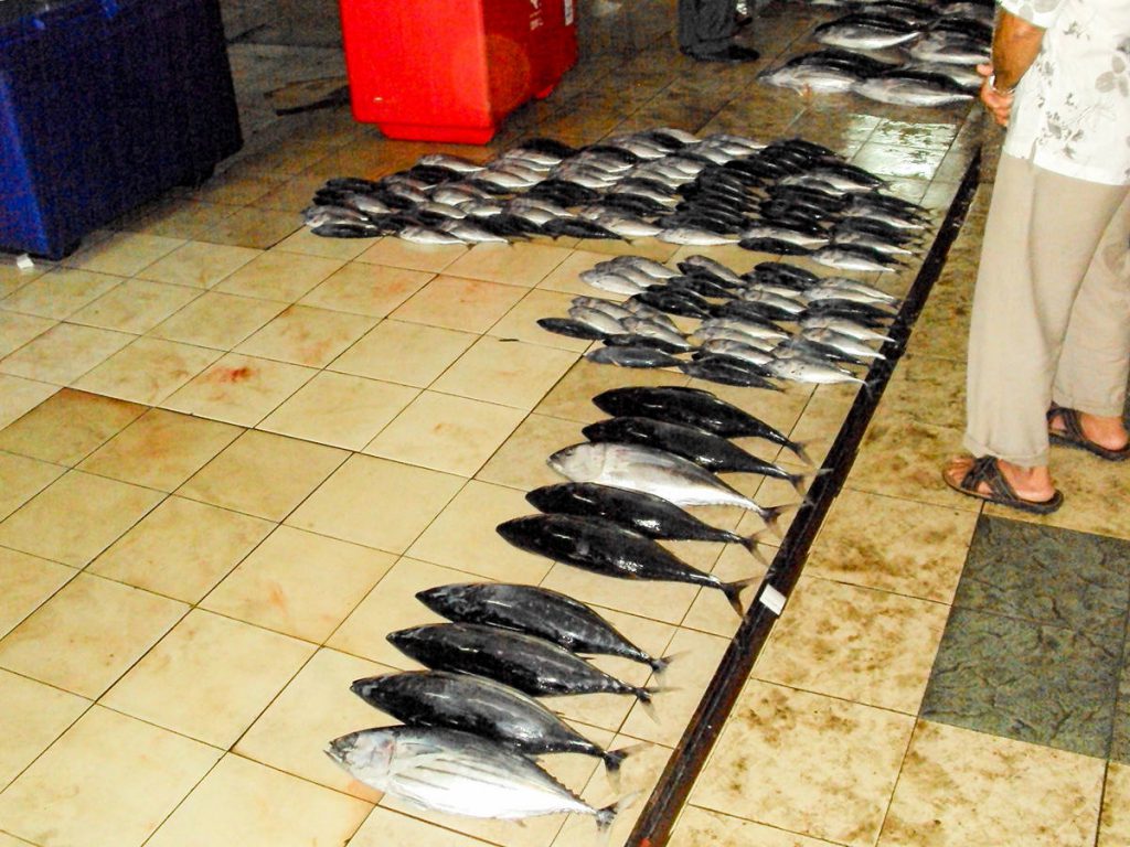 Auf dem Fischmarkt in Malé