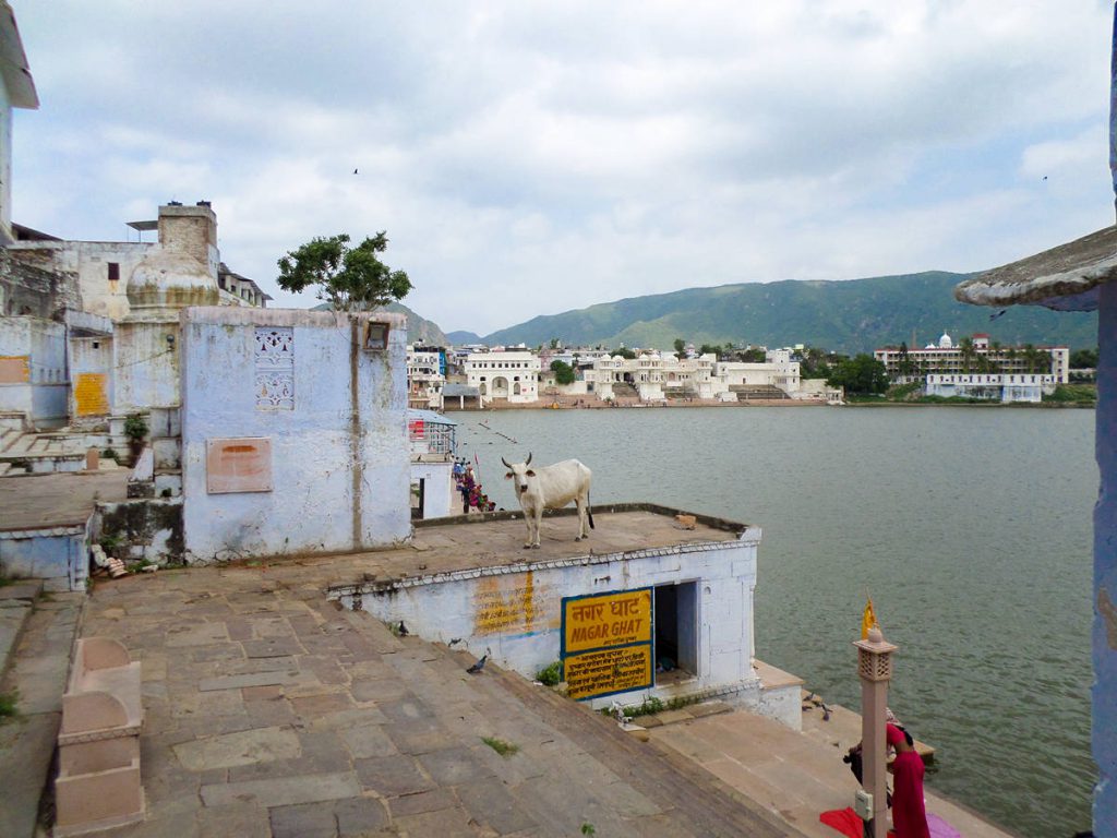 Ghat Badetreppe Pushkar