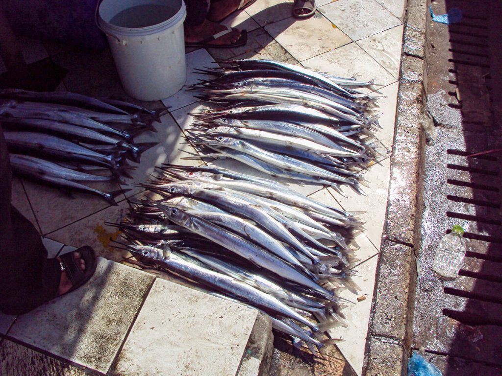 Fischmarkt in Malé, Malediven