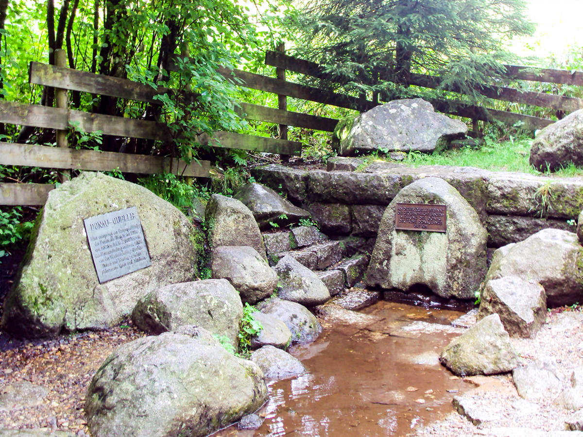 Bregquelle (Donauquelle) Schwarzwald