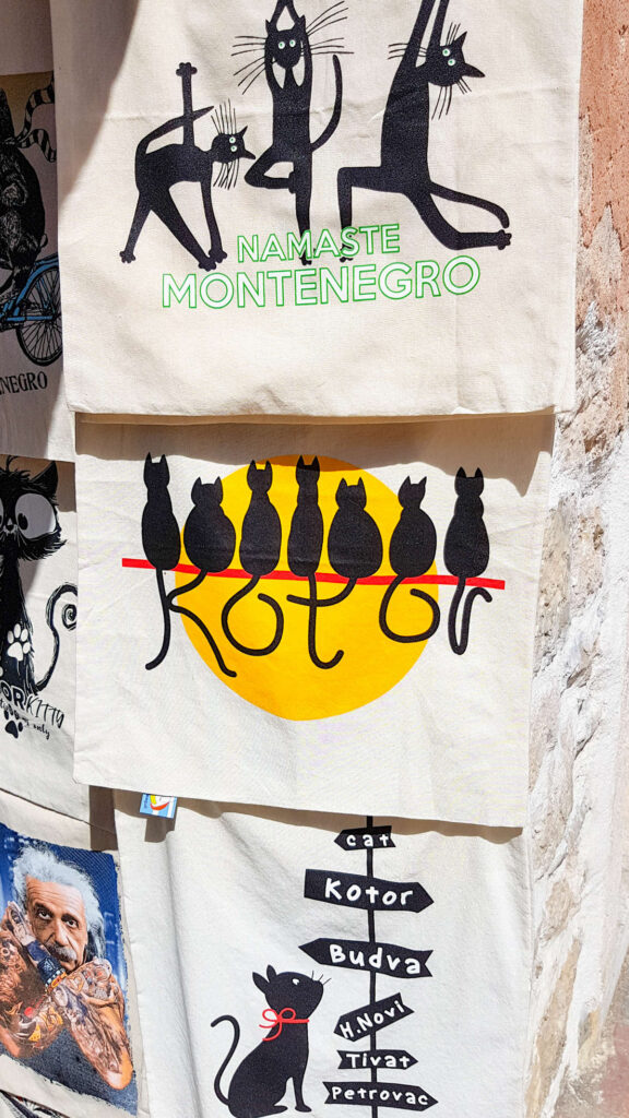 Souvenir Katzen Kotor