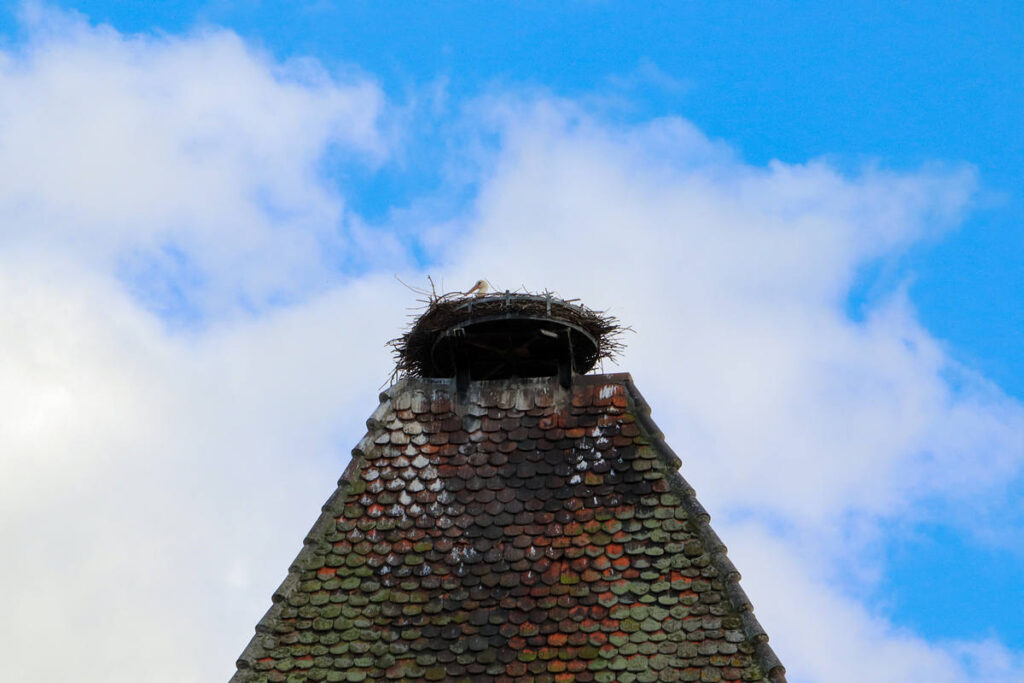 Storchennest Turckheim