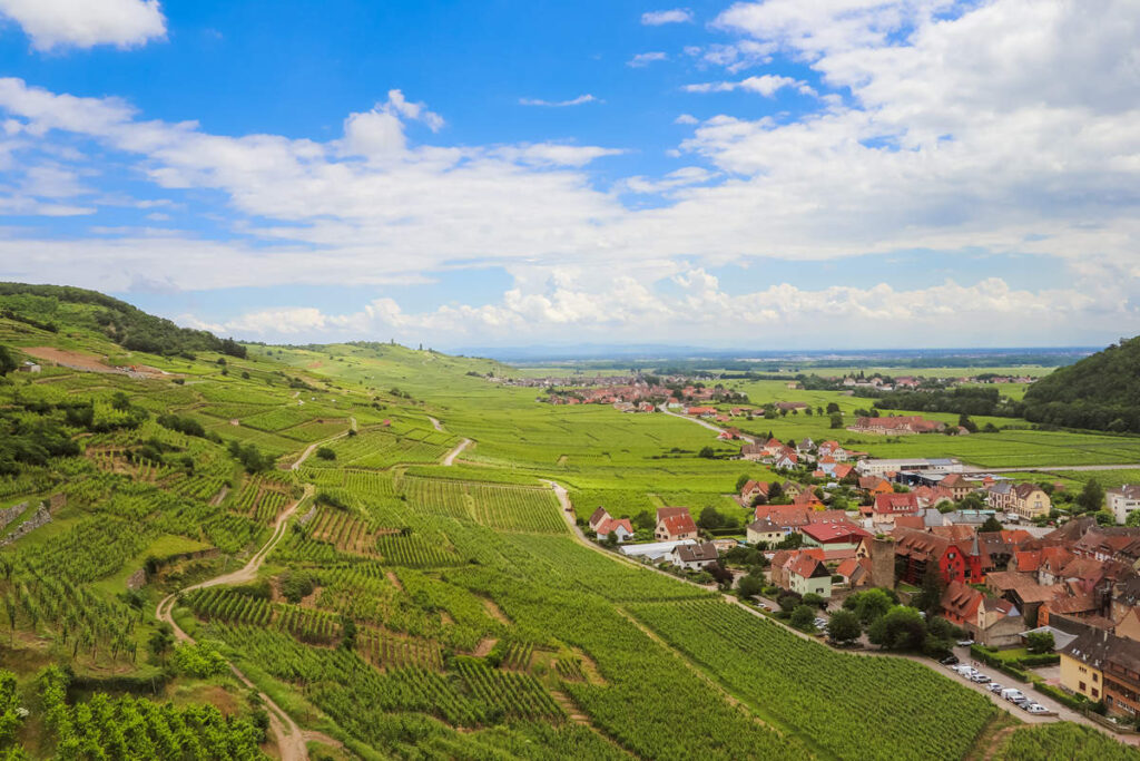 Weinfelder Kaysersberg