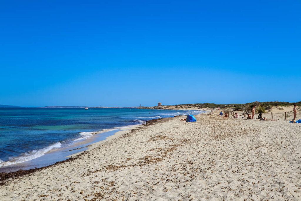 Platja des Cavallet