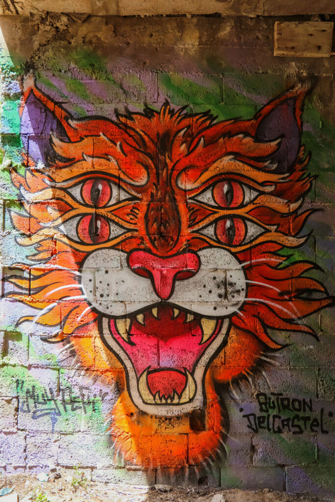 Tiger Graffiti Cala D'en Serra