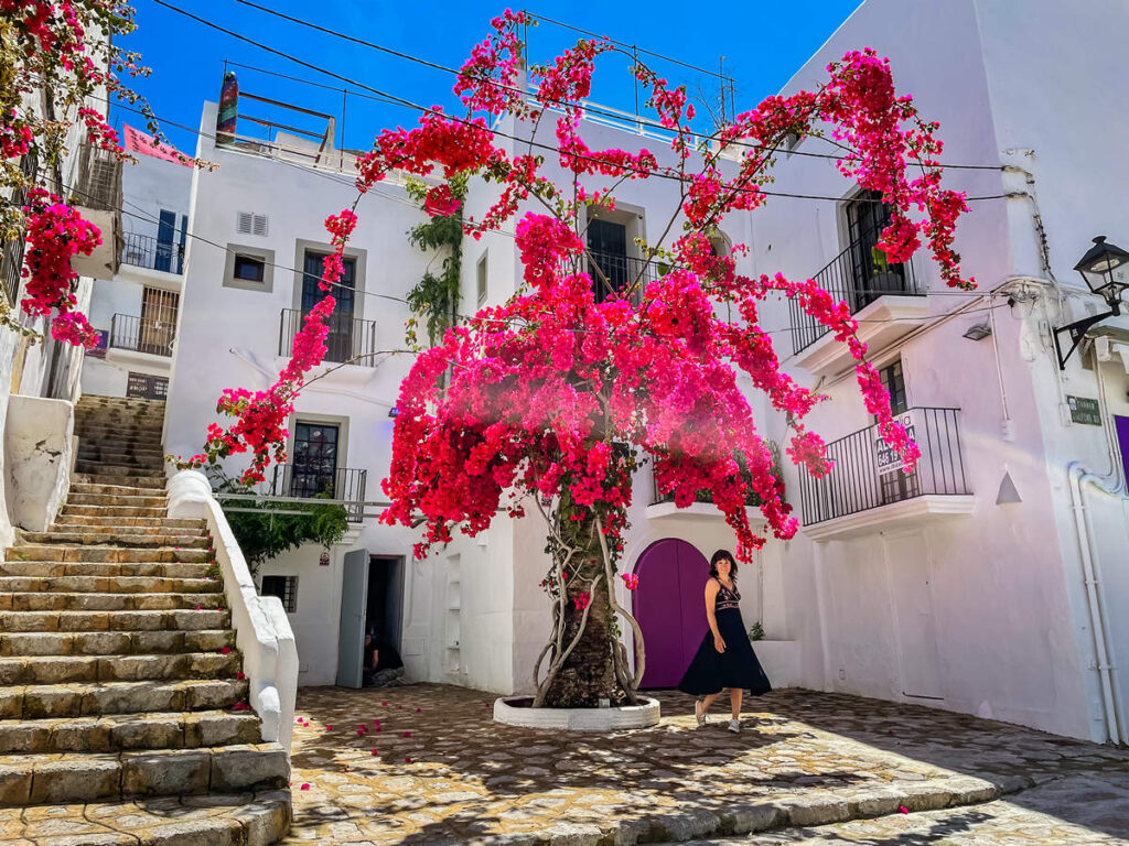 Ibiza-Stadt Old Town