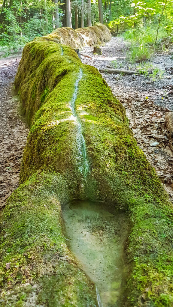 Steinerne Rinne Erasbach