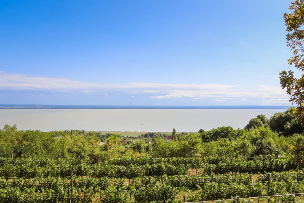 Aussicht vom Rosenstein Plattensee