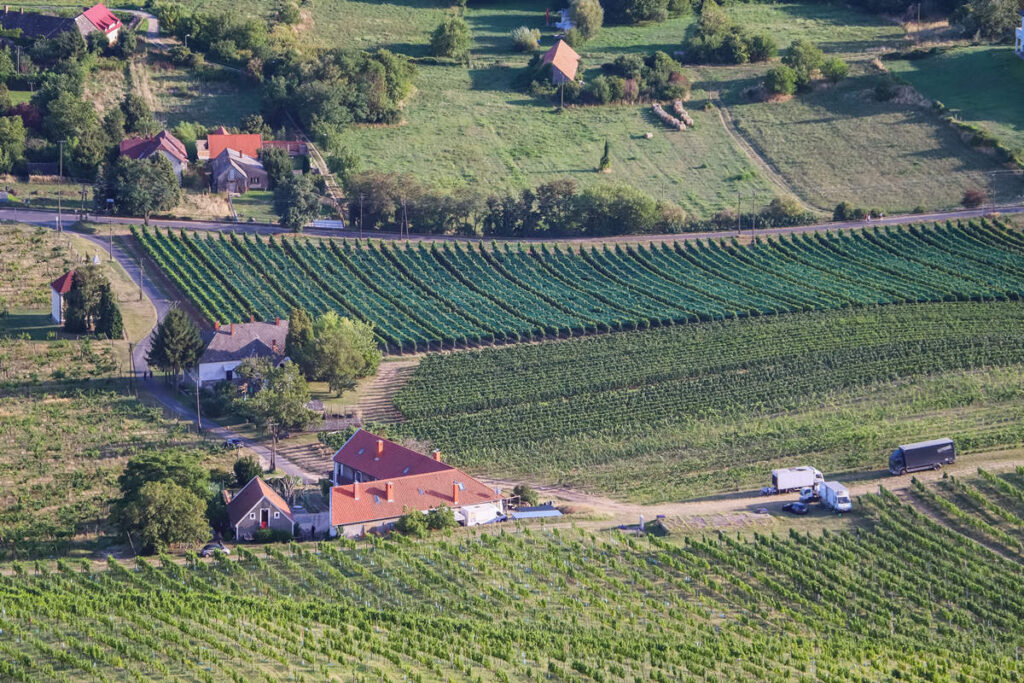 Badacsony Wein Region
