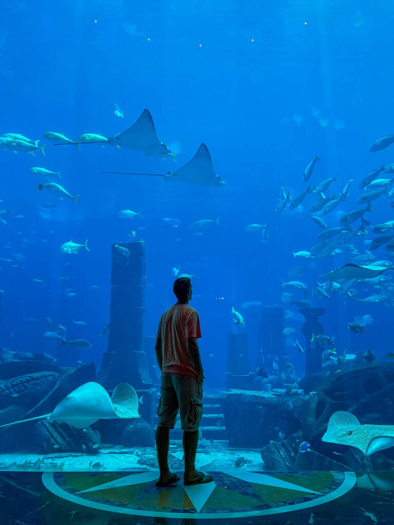Atlantis Ambassador Lagoon