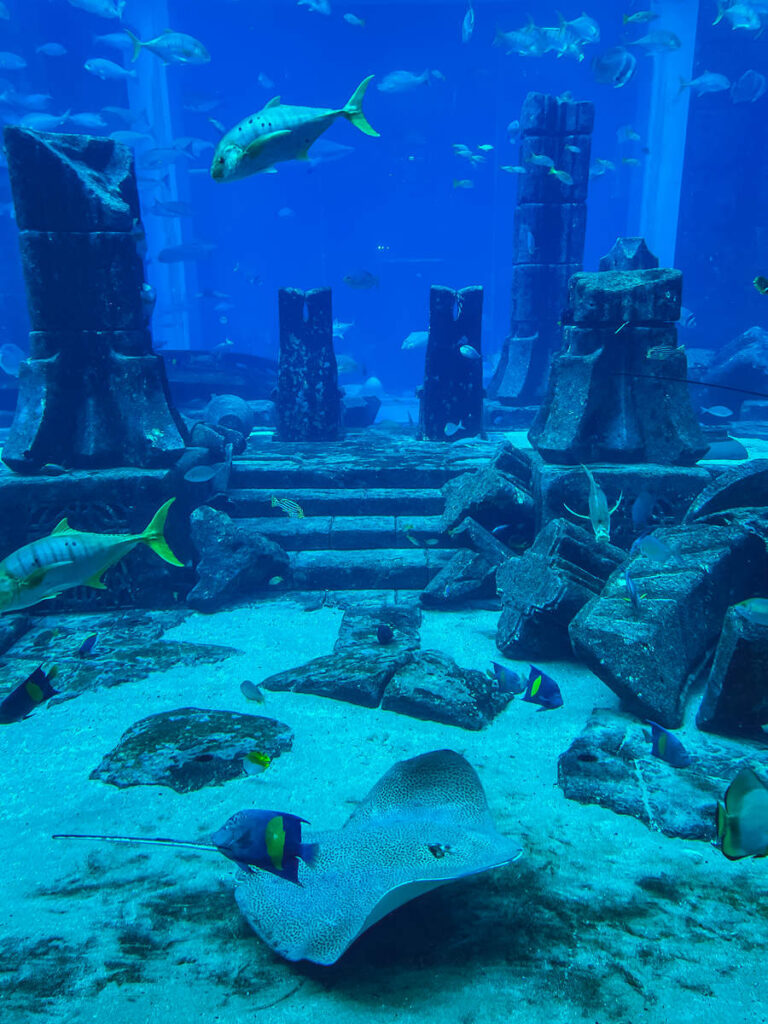Atlantis Aquarium Dubai