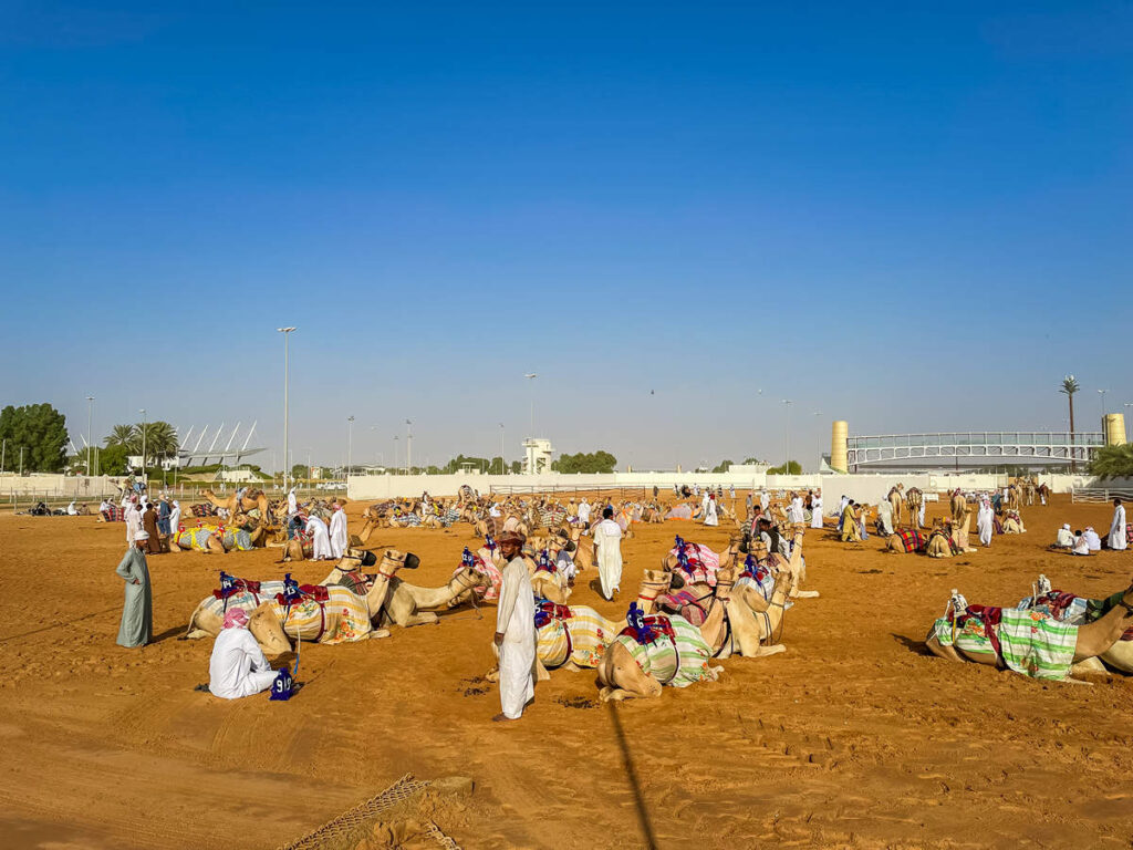 Kamele Al Marmoom Camel Race Track