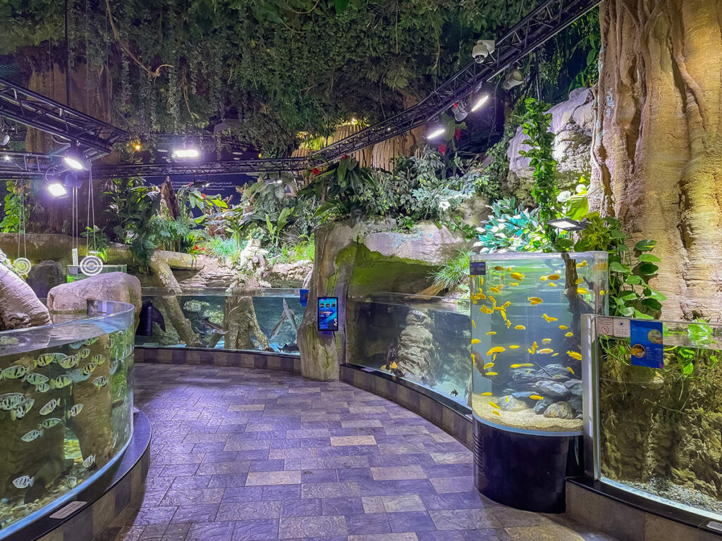 Underwater Zoo Dubai