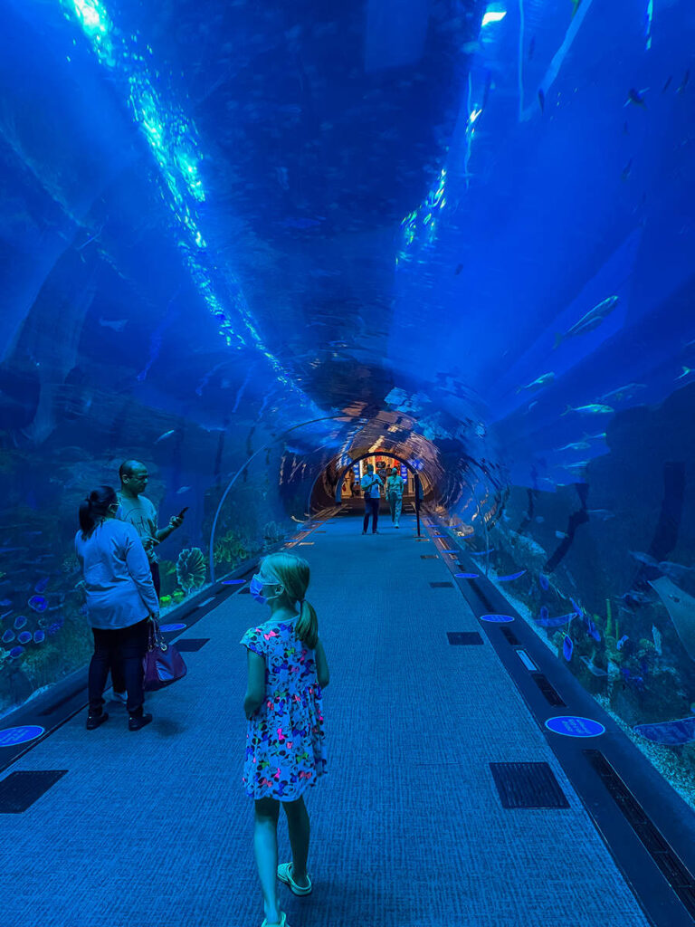 Unterwasser-Tunnel Dubai Aquarium
