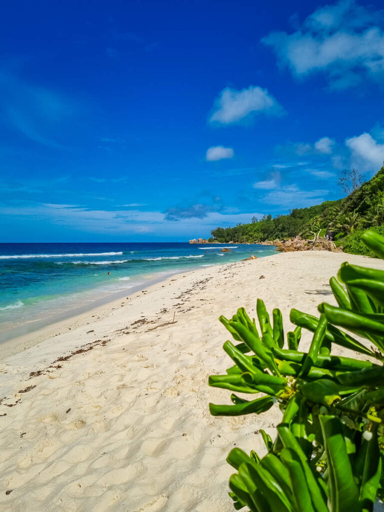 Anse Fourmis