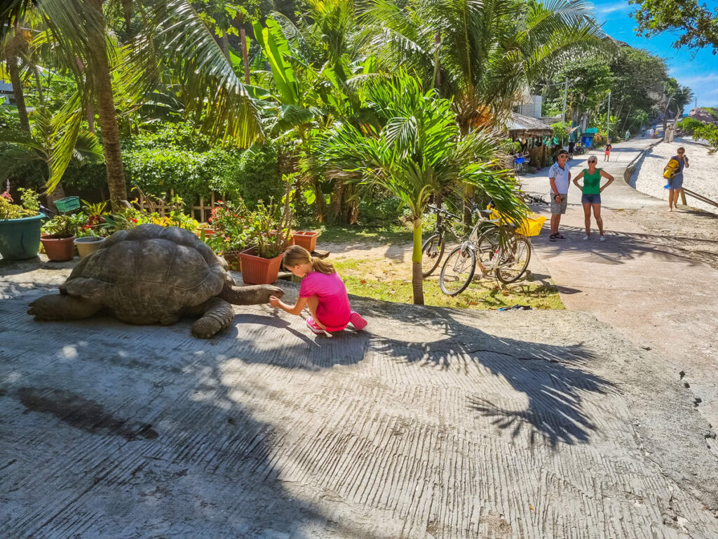 Riesenschildkröte Anse Banane