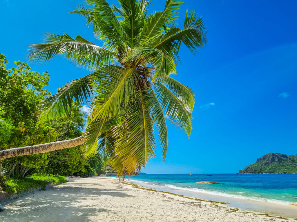 Anse Boudin Praslin