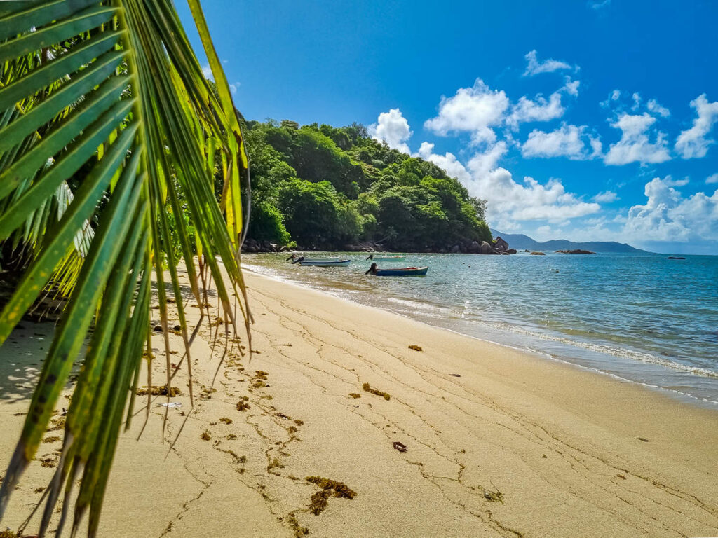Anse Marie-Louise auf Praslin
