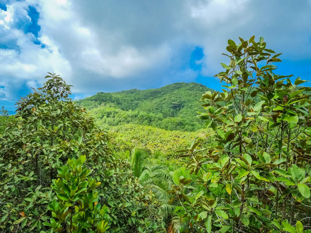 Aussichtspunkt Vallée de Mai