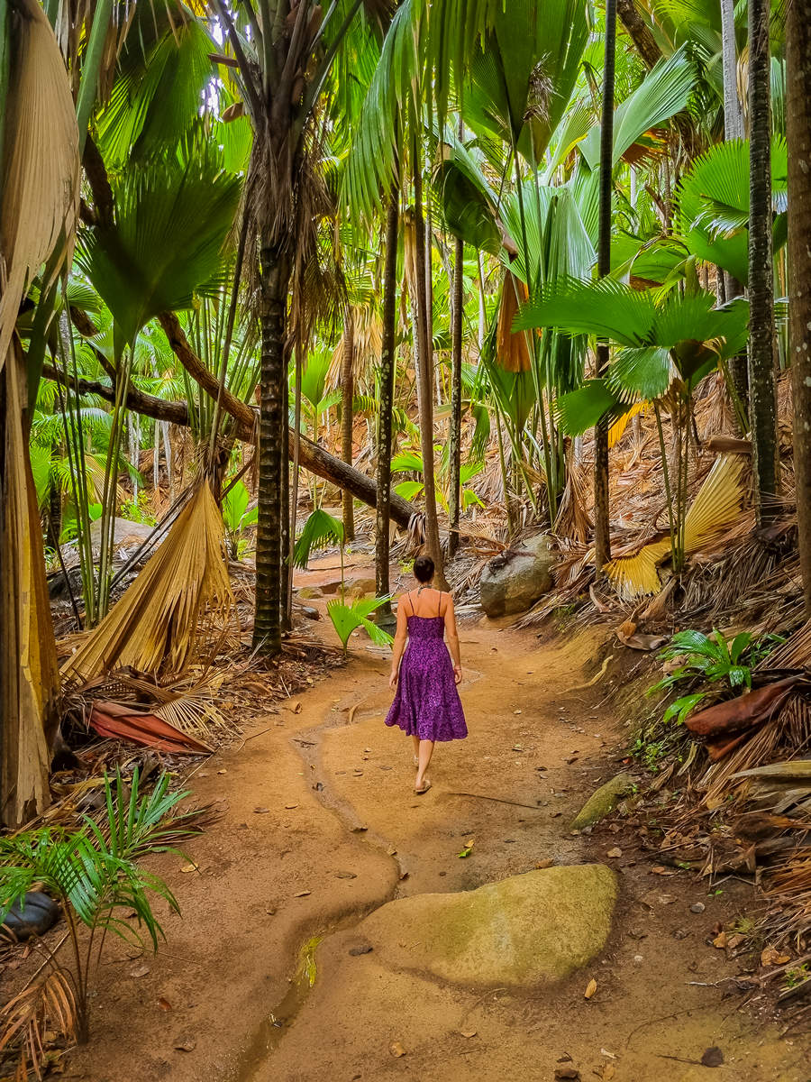 Fond Ferdinand & Coco de Mer auf Praslin