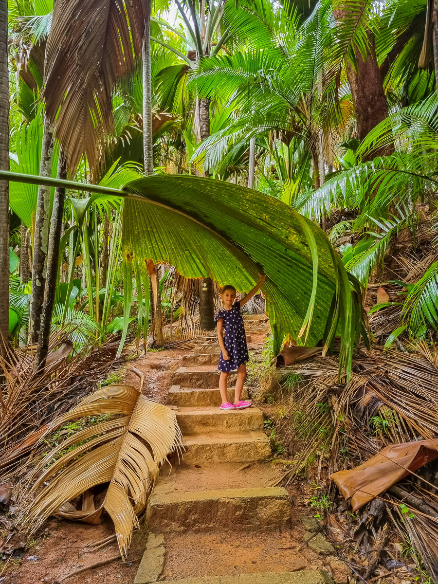 Ausflugstipp Praslin – warum du den Fond Ferdinand Park besuchen