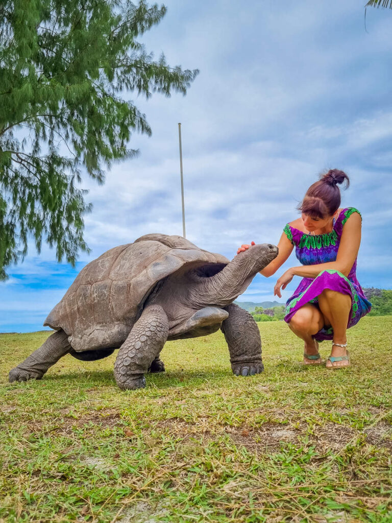 Riesenschildkröte Curieuse Island