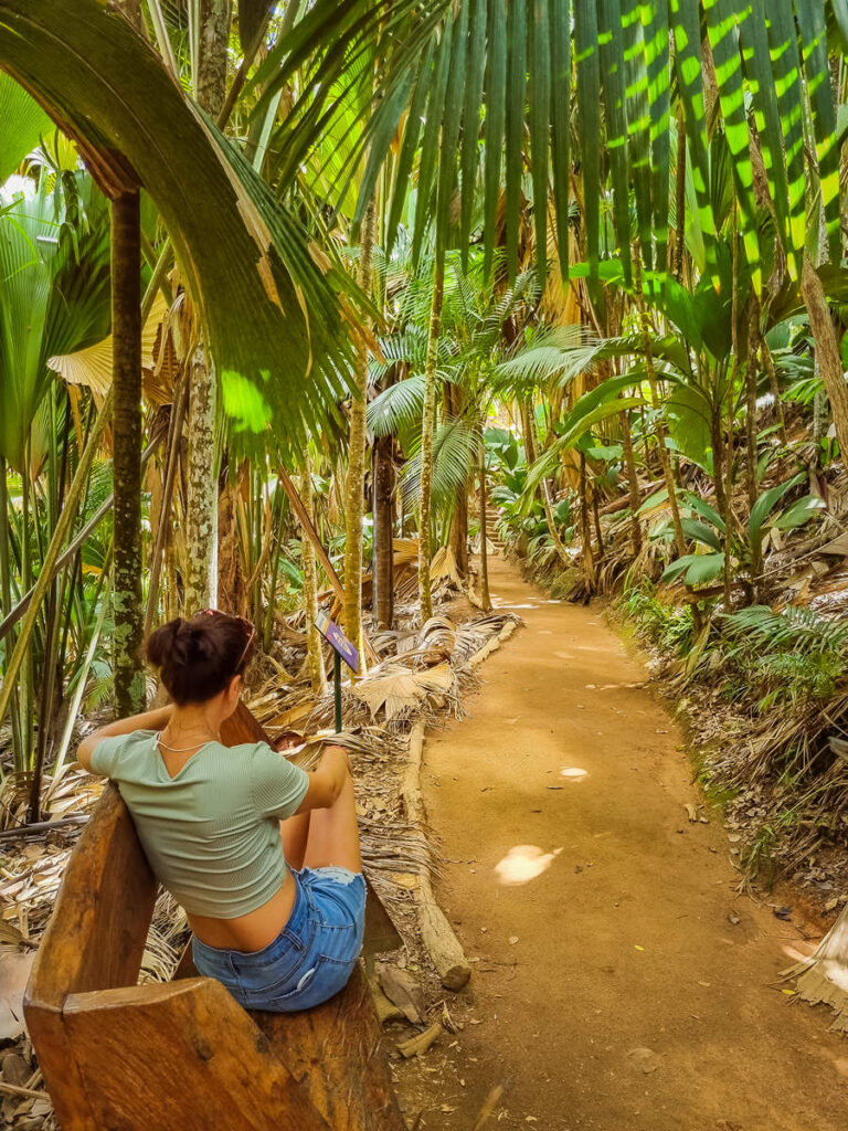 Vallée de Mai Nationalpark