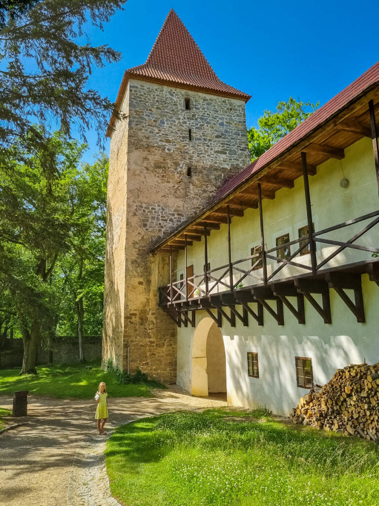 Burg Klingenberg