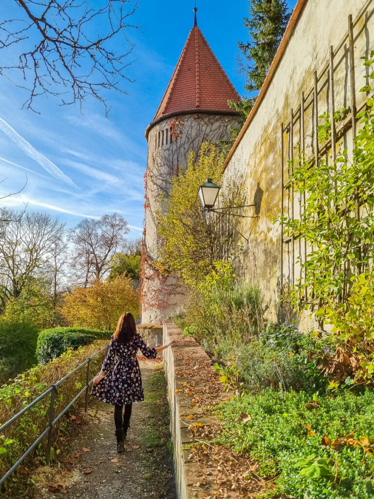 Neuburg Schloss Mauer