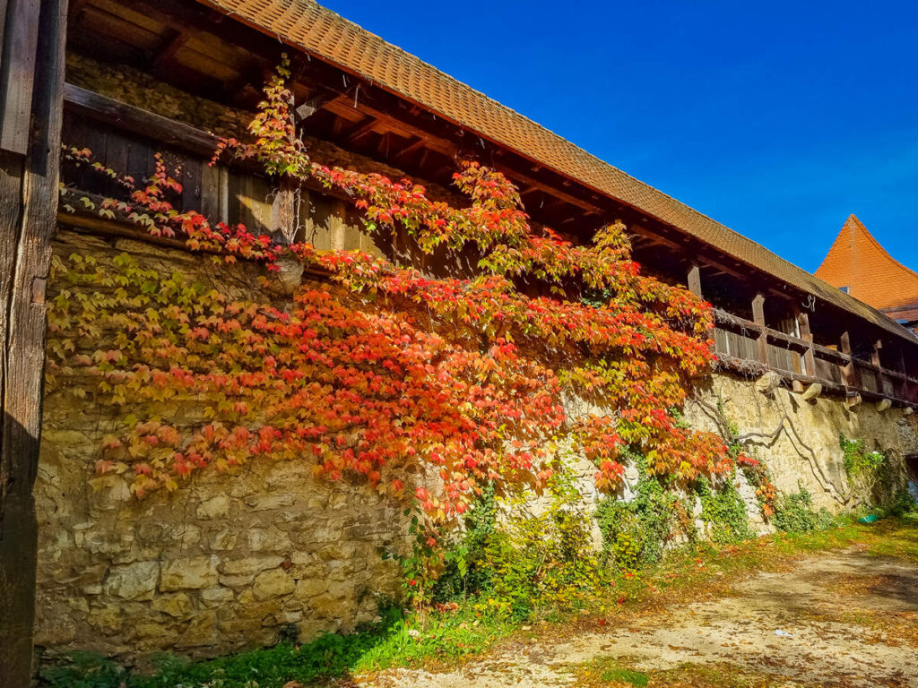 Schanzmauer in Weißenburg