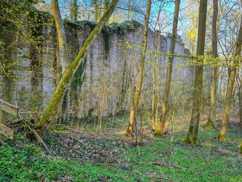 Burgruine Schmachtenberg
