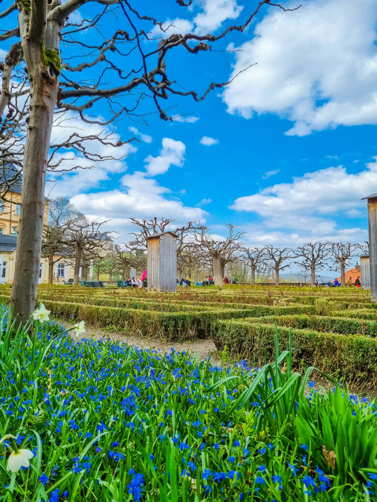 Rosengarten Bamberg