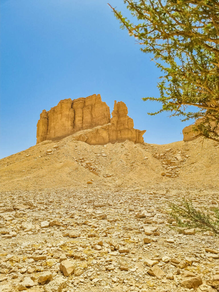 Shark Pinnacle Viewing Point