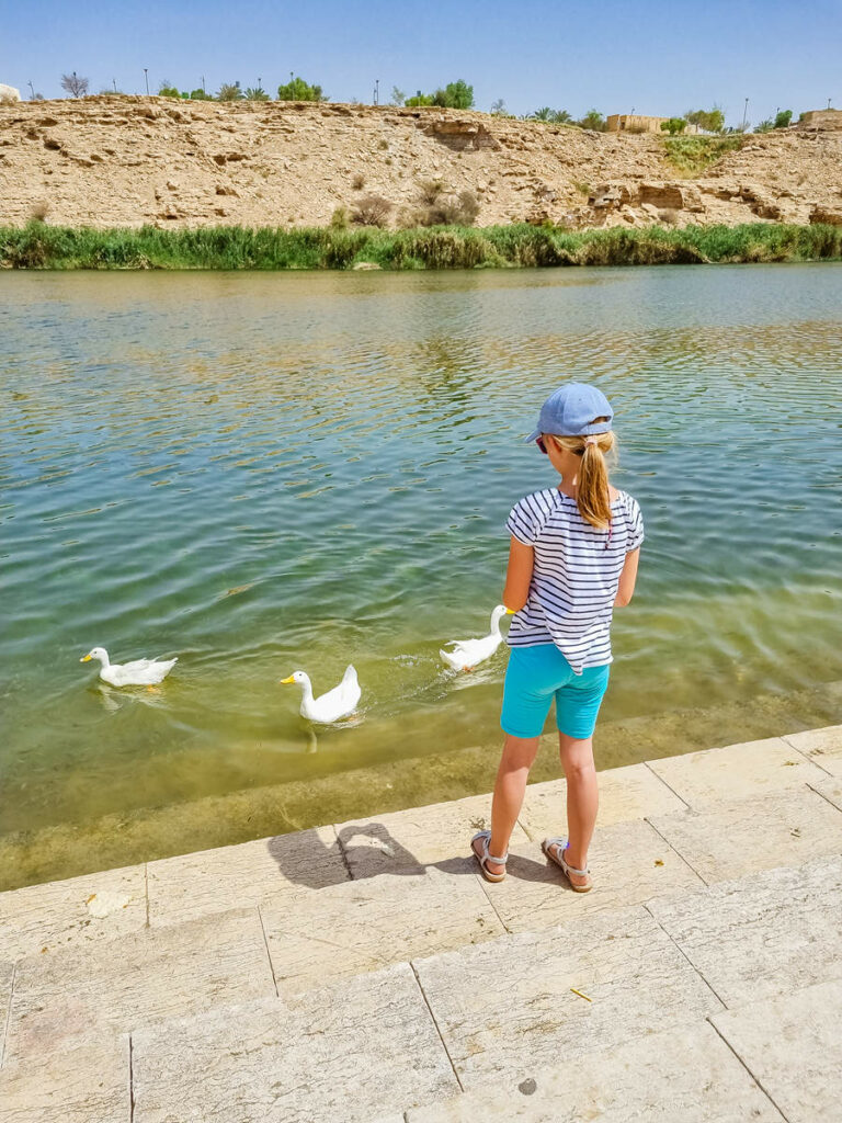 Wadi Namar Lake