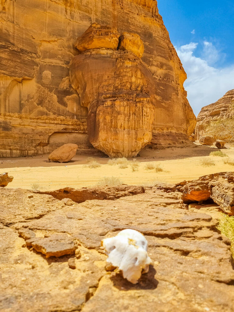 Siamese Cojoined Twin Rock