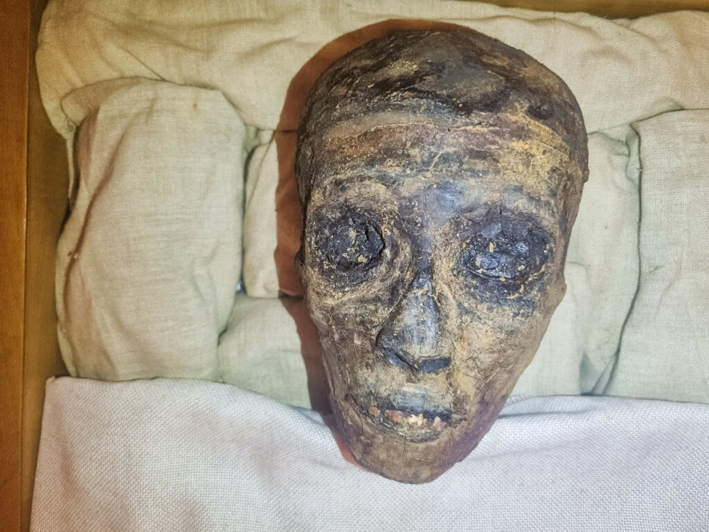 Mumie Pharao Tutanchamun