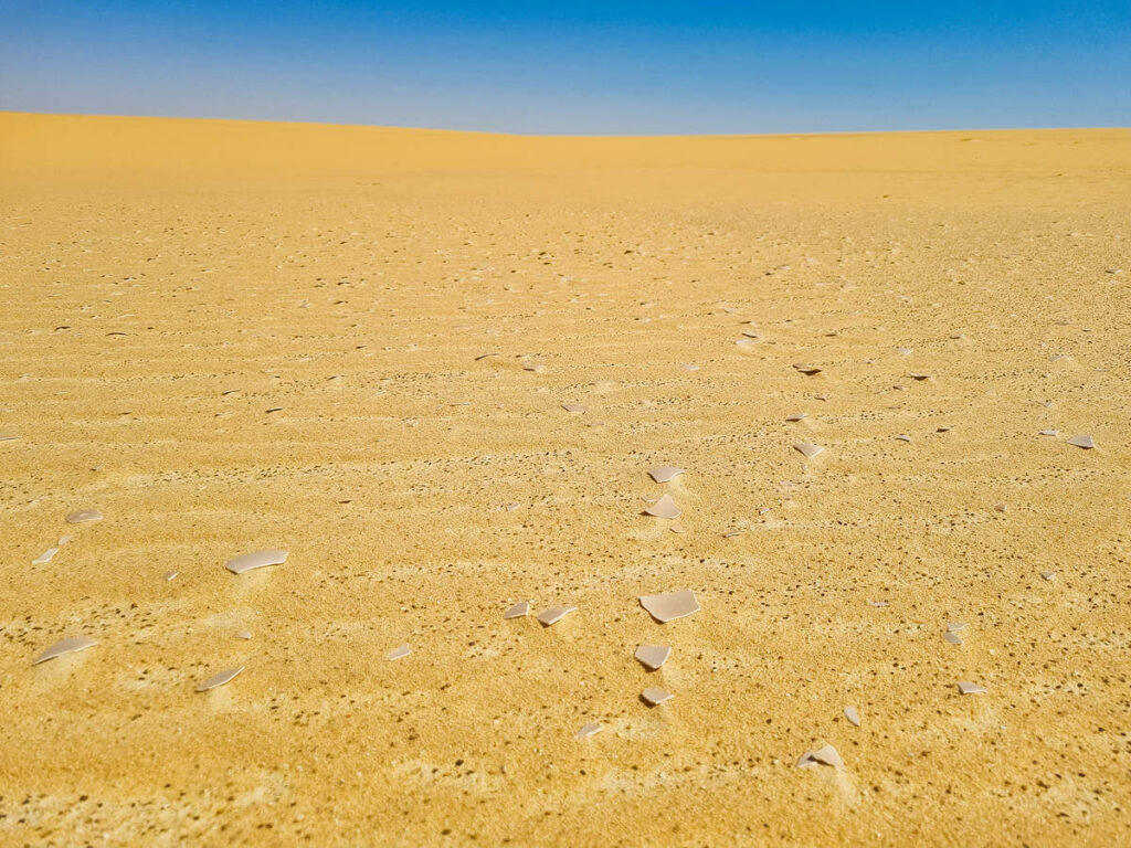 Straußenei-Schalen Wüste Ägypten