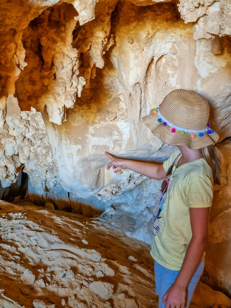 Tiergravuren Djara Cave