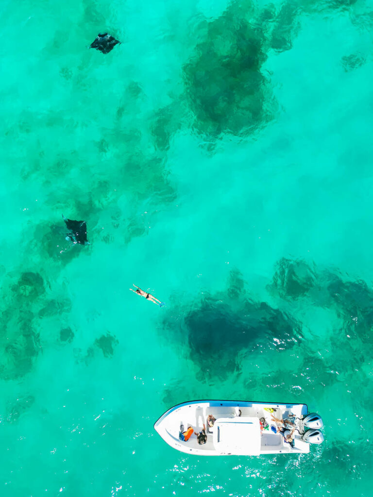 Mantarochen Malediven Schwimmen