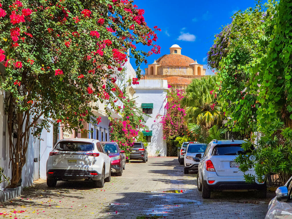 Callejón de Regina Santo Domingo