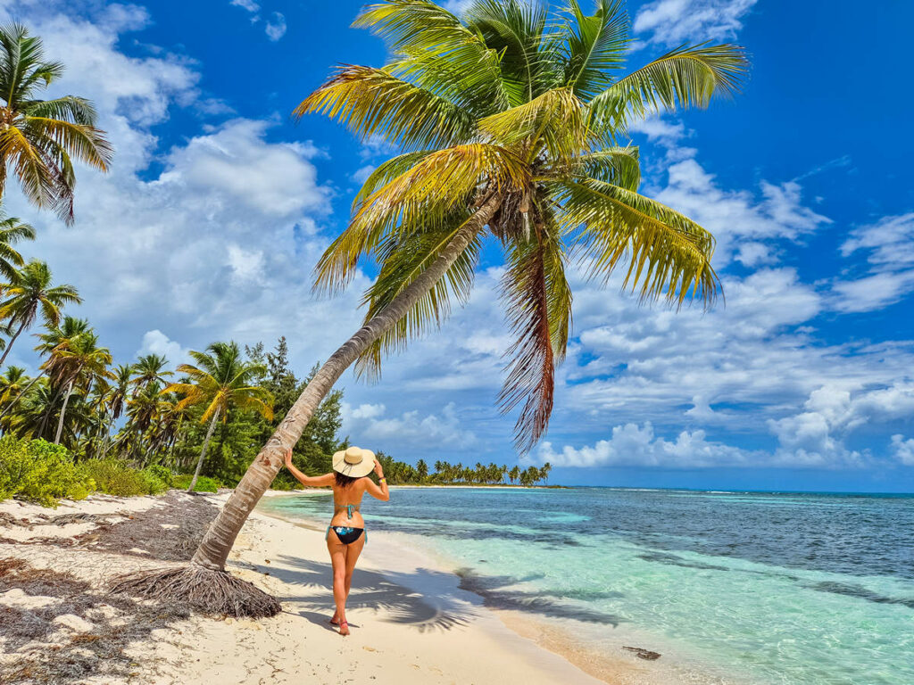 Isla Saona Küste