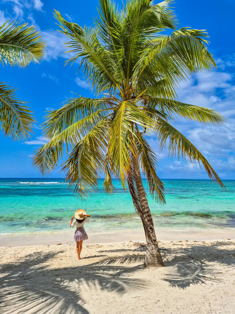 Strand Mano Juan Isla Saona