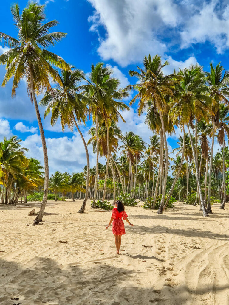 Rincón Beach Palmen