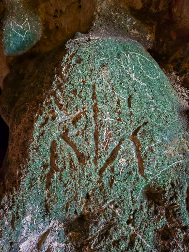 Frosch (Glücksbringer) Cueva San Gabriel Los Haitises