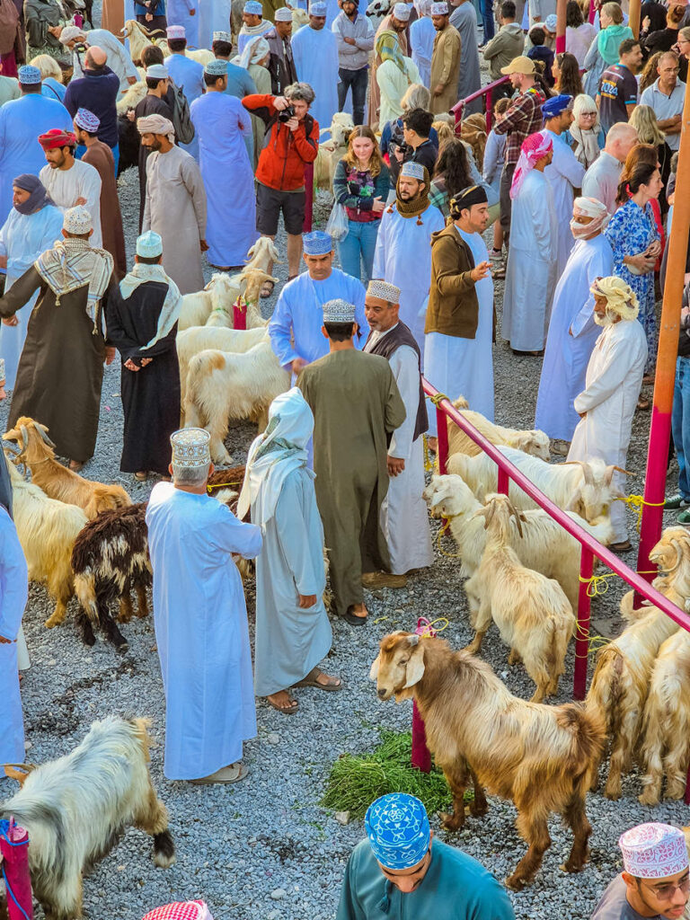 Freitagsmarkt Nizwa Ziege