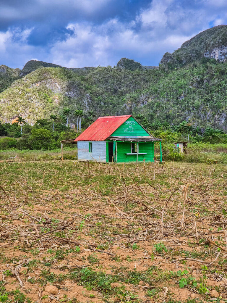 Brisas del Valle Tabakfarm
