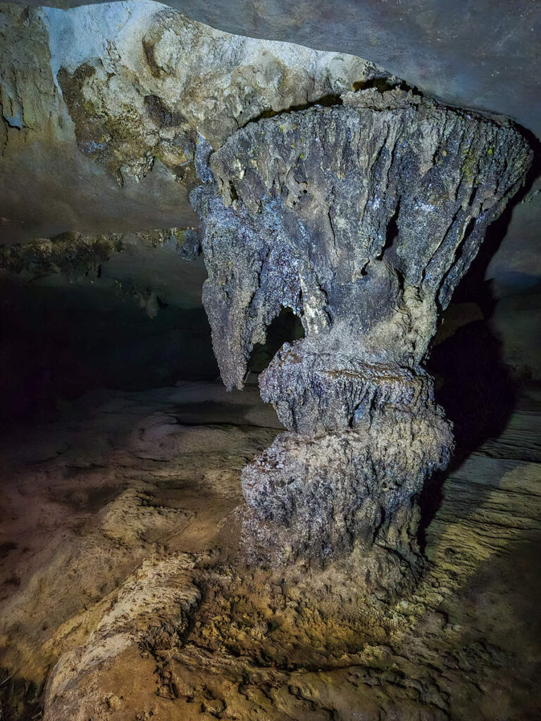 Cueva del Palmarito