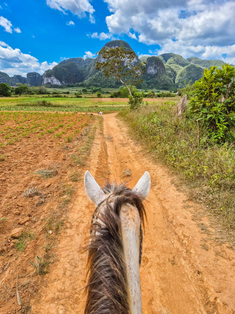 Vinales Reiten