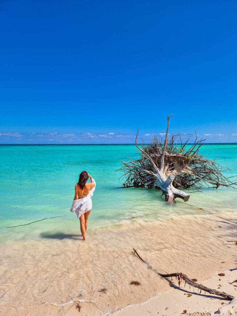 Cayo Jutías