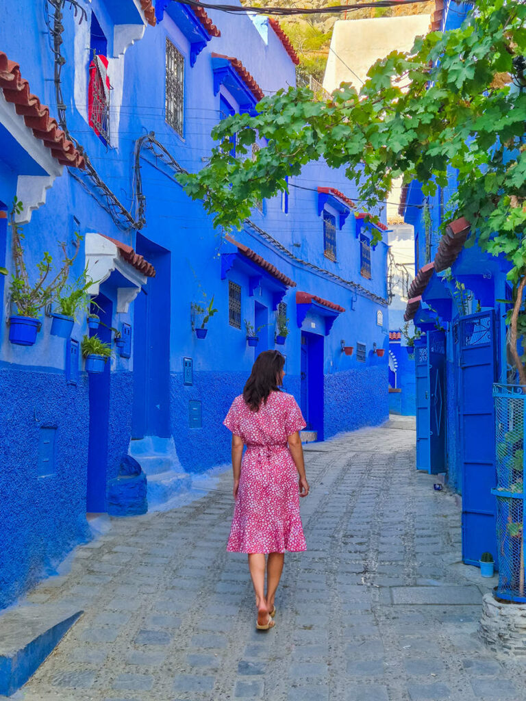 Blaue Straße Weinreben Chefchaouen